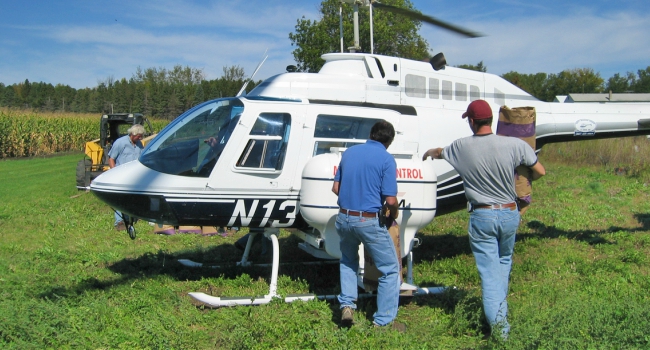 This photo shows ARS researchers loading rye seeds into a helicopter for aerial seeding.